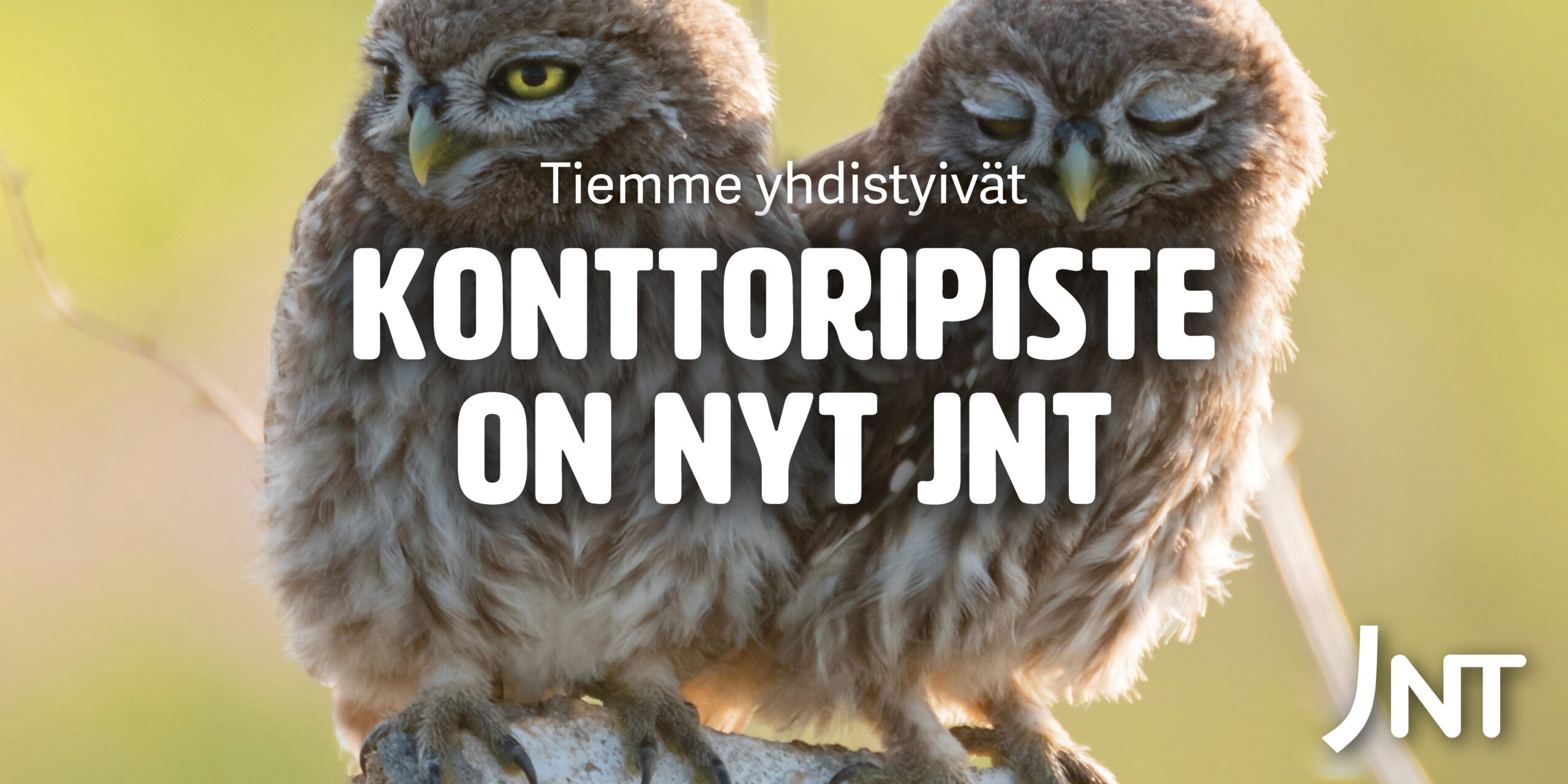 Konttoripiste on JNT – vahva, asiakaslähtöinen ja paikallinen IT-toimija