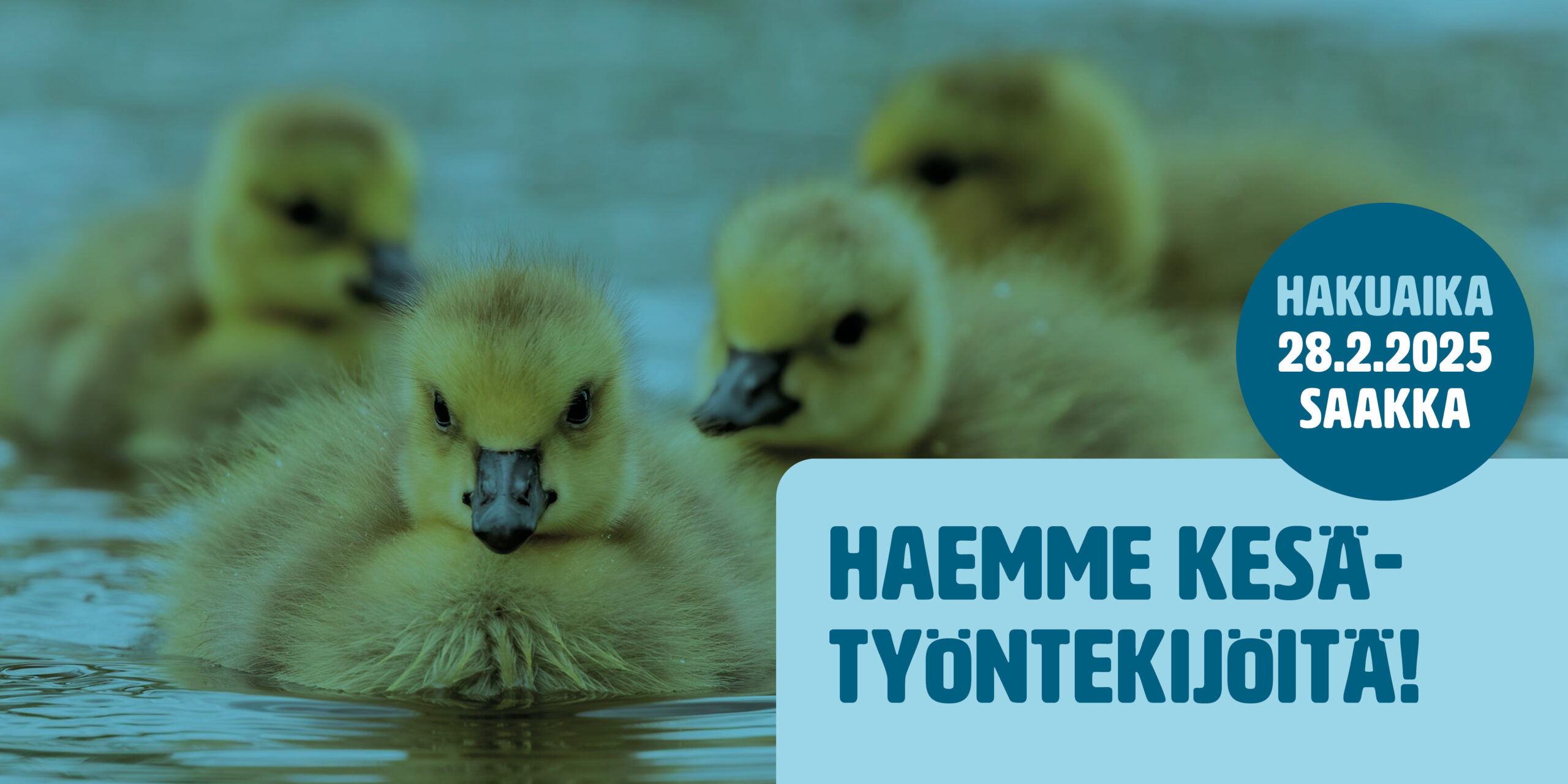 Hae kesätöihin meille! 🌞