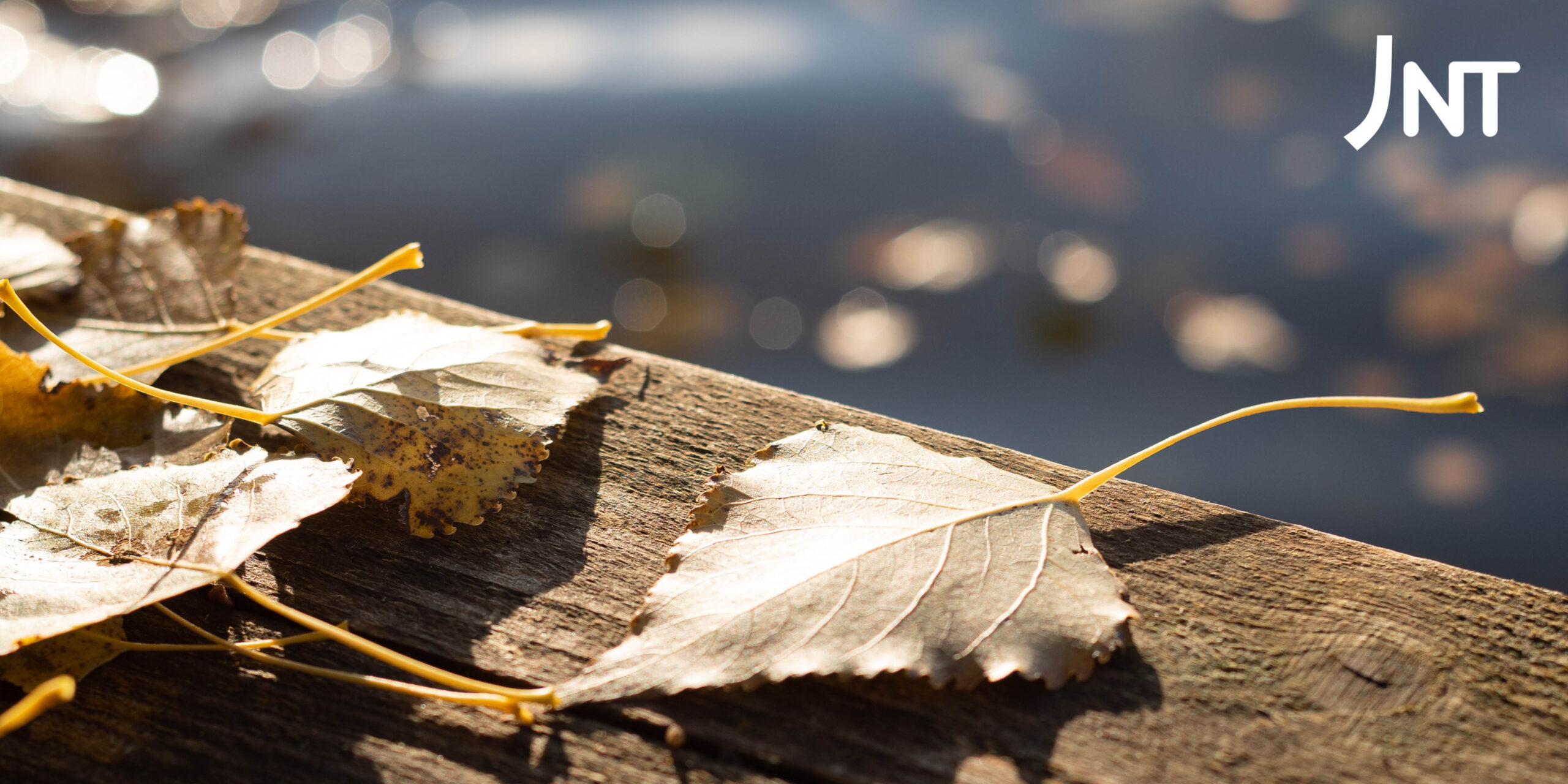 JNT:s hållbarhetsrapport för 2024